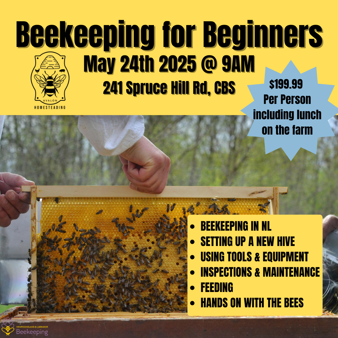 Beekeeping for Beginners 2025 (May 24th)
