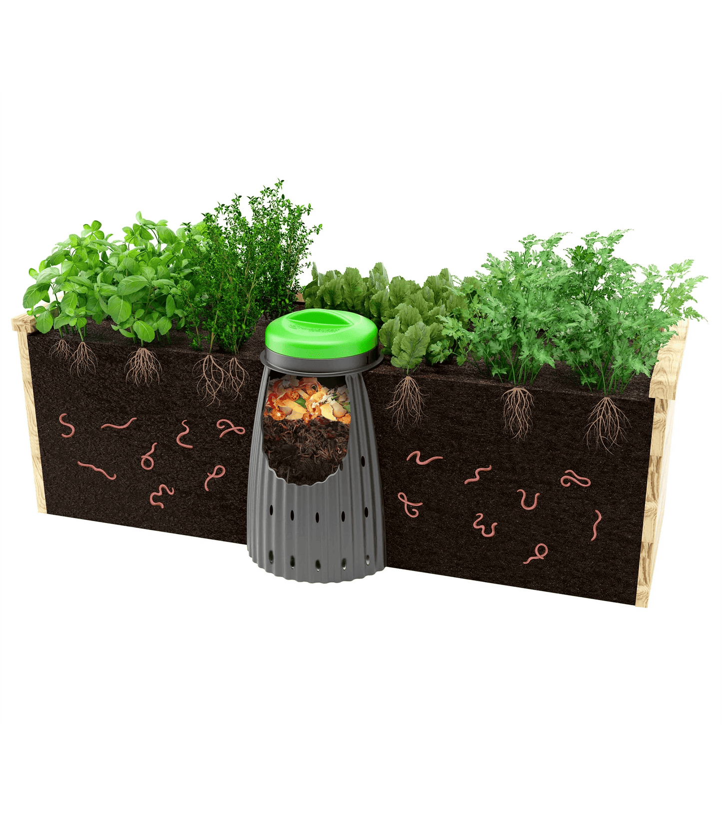 Worm Buffet