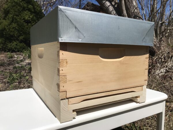 Complete Hive with 1 Deep Super