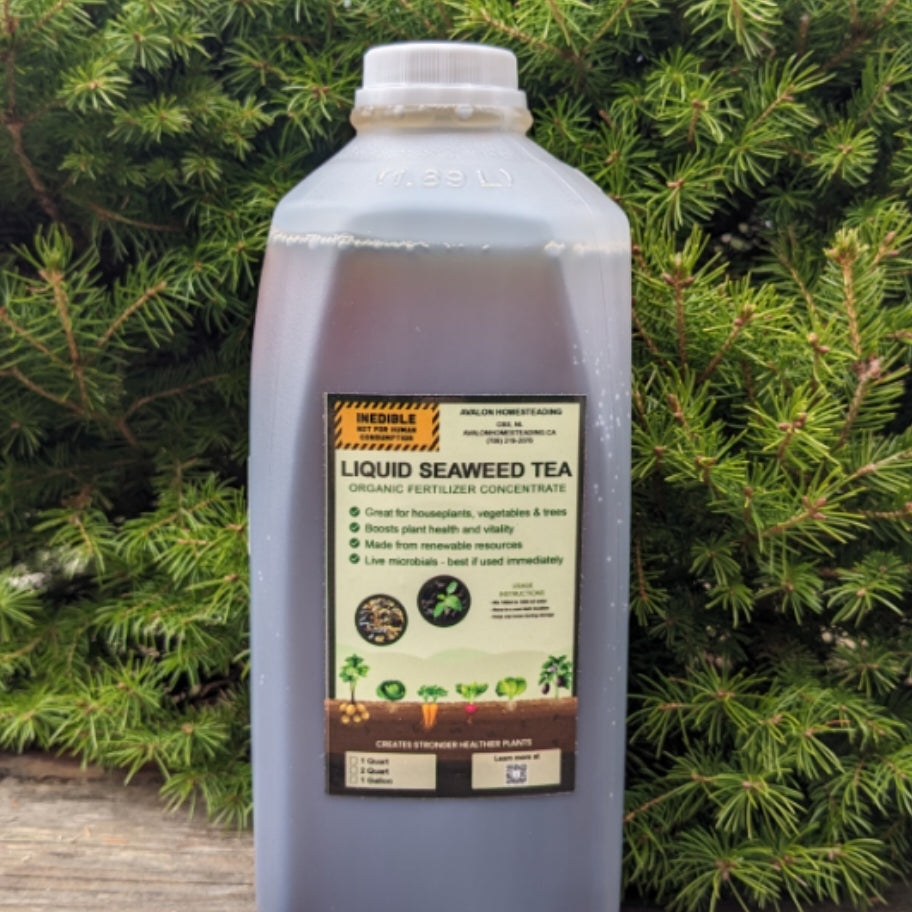 liquid organic fertilizer canada Liquid Seaweed Fertilizer – Avalon Homesteading