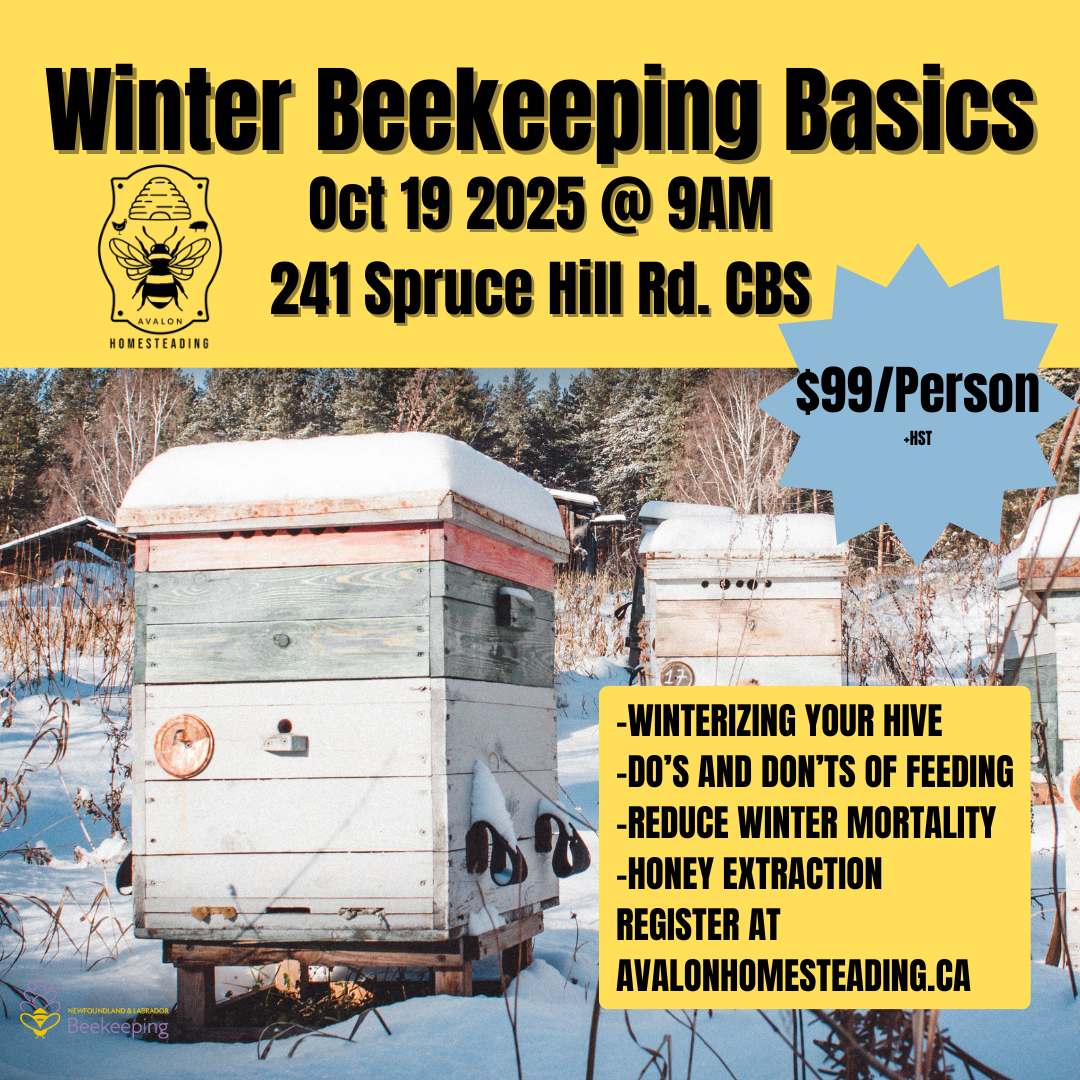 Winter Beekeeping Basics 2025