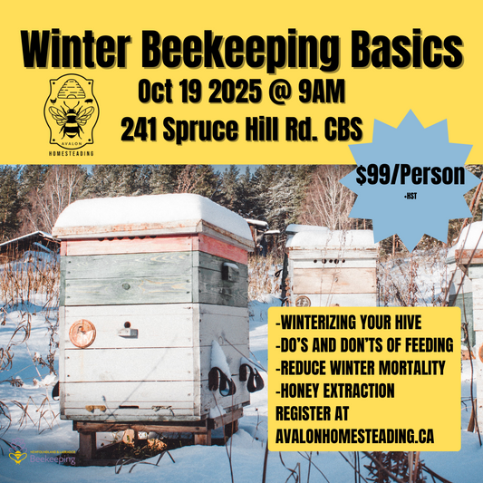 Winter Beekeeping Basics 2025