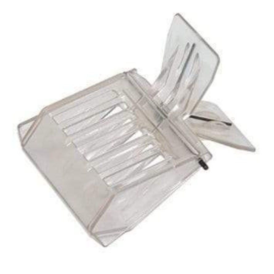 Queen Bee Clip