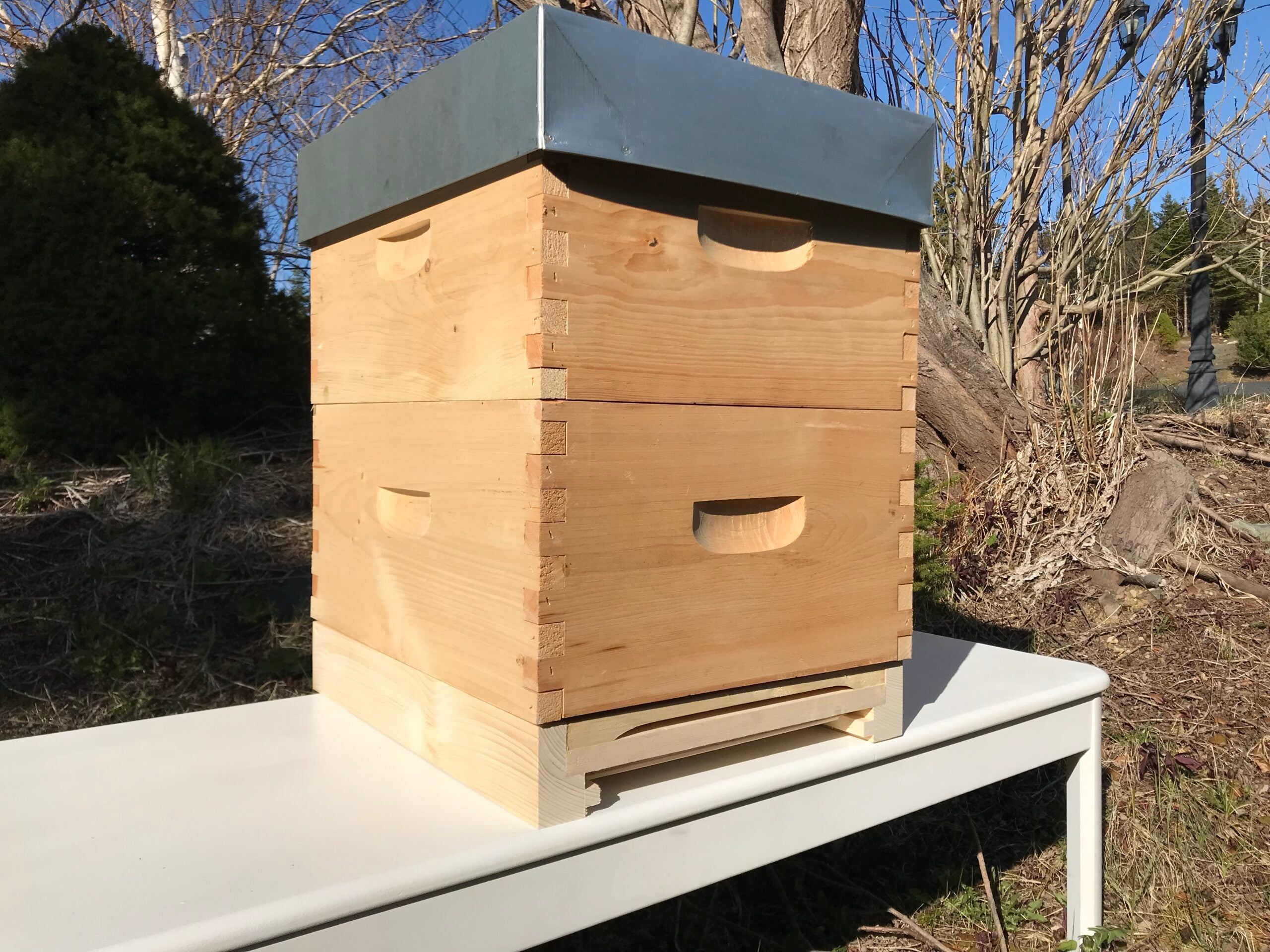 Complete Hive with 2 Deep Supers – Avalon Homesteading